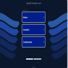 Скриншот главной страницы сайта capital-whales.com