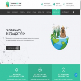 Скриншот главной страницы сайта capybaravpn.com