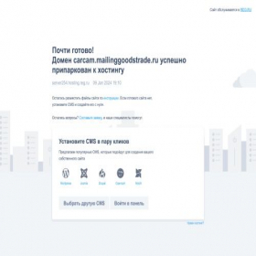 Скриншот главной страницы сайта carcam.mailinggoodstrade.ru