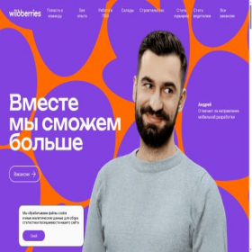 Скриншот главной страницы сайта career.wb.ru