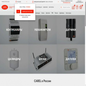 Скриншот главной страницы сайта carel-store.ru