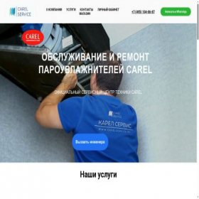 Скриншот главной страницы сайта carelservice.ru