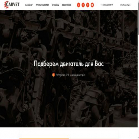 Скриншот главной страницы сайта carvet.pro