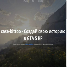 Скриншот главной страницы сайта case-bittoo.ru