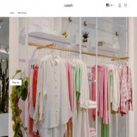 Скриншот главной страницы сайта casesh.com