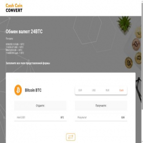 Скриншот главной страницы сайта cashcoinconvert.net