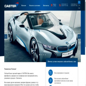 Скриншот главной страницы сайта caster.com.ua