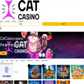 Скриншот главной страницы сайта catcasino79.com