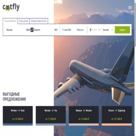 Скриншот главной страницы сайта catfly.ru