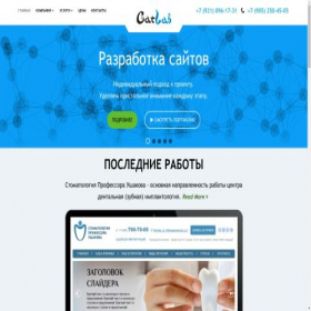 Скриншот главной страницы сайта catlab.ru