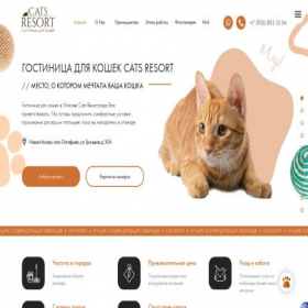 Скриншот главной страницы сайта catsresort.ru