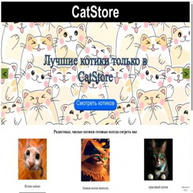 Скриншот главной страницы сайта catstore.testrs.ru