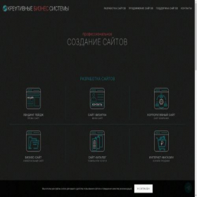Скриншот главной страницы сайта cbsystems.ru