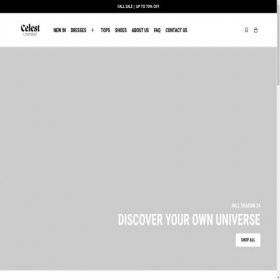 Скриншот главной страницы сайта celstuniversy.com