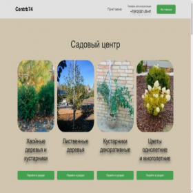 Скриншот главной страницы сайта centrb74.ru