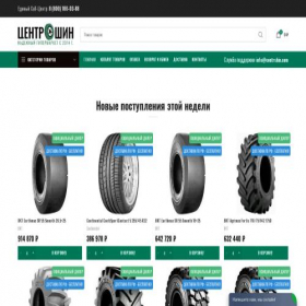Скриншот главной страницы сайта centrshin.com