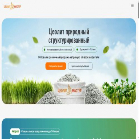 Скриншот главной страницы сайта ceolitmaster.ru