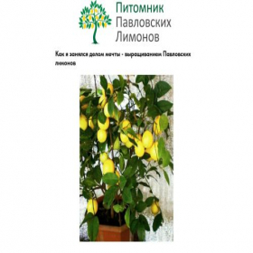 Скриншот главной страницы сайта certupols.online