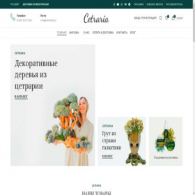 Скриншот главной страницы сайта cetraria-bonsai.com