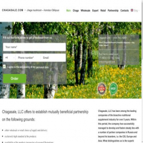 Скриншот главной страницы сайта chagasale.com