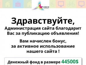 Скриншот главной страницы сайта checkbonus.top