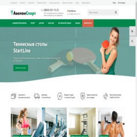 Скриншот главной страницы сайта chelyabinsk.avelonsport.ru