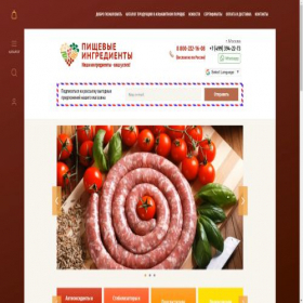 Скриншот главной страницы сайта chem4food.ru