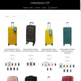 Скриншот главной страницы сайта chemodan.top