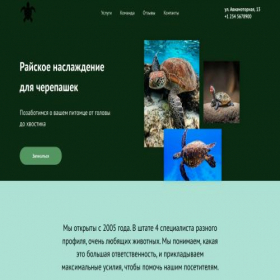 Скриншот главной страницы сайта cherepashky.tilda.ws