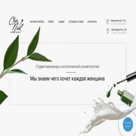 Скриншот главной страницы сайта chicnail.ru