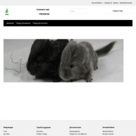 Скриншот главной страницы сайта chin-chilla.ru