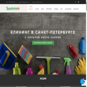 Скриншот главной страницы сайта chistovichkof-spb.ru