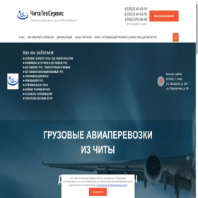 Скриншот главной страницы сайта chitatehservice.ru