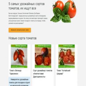 Скриншот главной страницы сайта chlorination.online