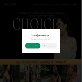 Скриншот главной страницы сайта choice-model.ru