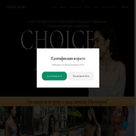 Скриншот главной страницы сайта choiceagency.site