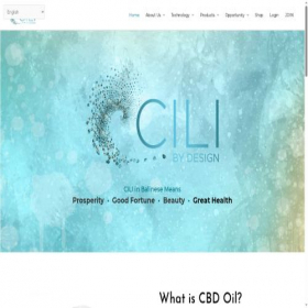 Скриншот главной страницы сайта cilibydesign.com