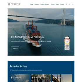 Скриншот главной страницы сайта cipgroup.com