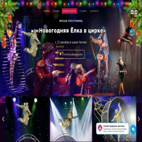 Скриншот главной страницы сайта circusmechta.ru