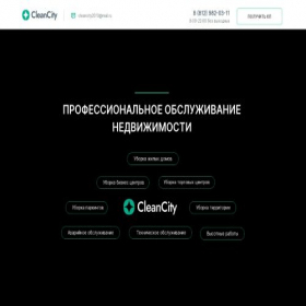 Скриншот главной страницы сайта clean-city.spb.ru