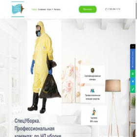 Скриншот главной страницы сайта cleangrupp.ru