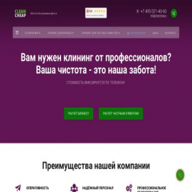 Скриншот главной страницы сайта cleanmast.ru