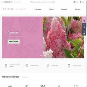 Скриншот главной страницы сайта clever-sad.ru