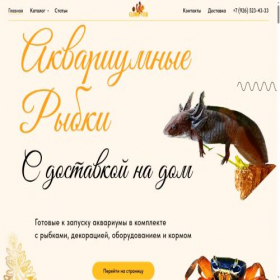 Скриншот главной страницы сайта clown-fish.ru