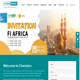 Скриншот главной страницы сайта cnchemsino.com