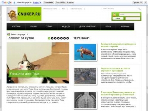 Скриншот главной страницы сайта cnukep.ru