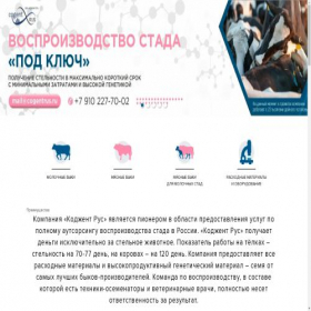 Скриншот главной страницы сайта cogentrus.ru