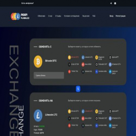 Скриншот главной страницы сайта coinexchangeservicess.online