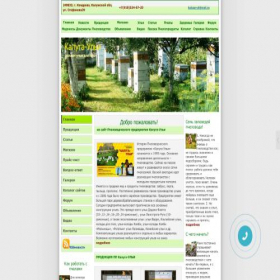 Скриншот главной страницы сайта computer-and-bees.com