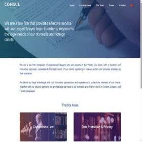 Скриншот главной страницы сайта consul-law.com